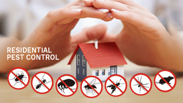 Residential Pest control Service in Fujairah